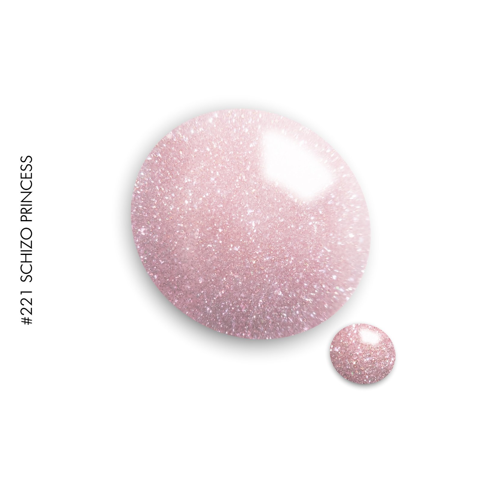 221 Schizo Princess