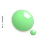 2424 BulBaSaur