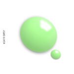 2419 Dipsy